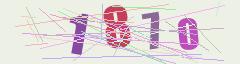 CAPTCHA validation image