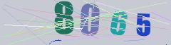 CAPTCHA validation image
