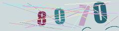 CAPTCHA validation image
