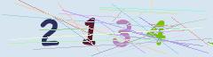 CAPTCHA validation image
