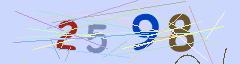 CAPTCHA validation image