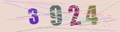 CAPTCHA validation image