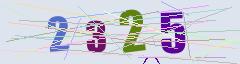 CAPTCHA validation image