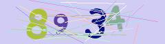 CAPTCHA validation image