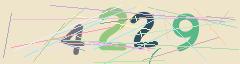 CAPTCHA validation image