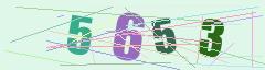 CAPTCHA validation image
