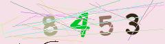 CAPTCHA validation image