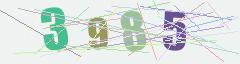 CAPTCHA validation image
