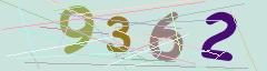 CAPTCHA validation image