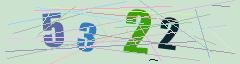 CAPTCHA validation image