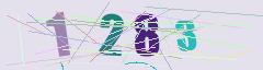 CAPTCHA validation image