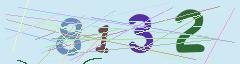 CAPTCHA validation image