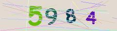 CAPTCHA validation image