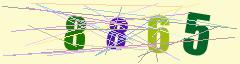 CAPTCHA validation image