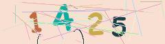 CAPTCHA validation image